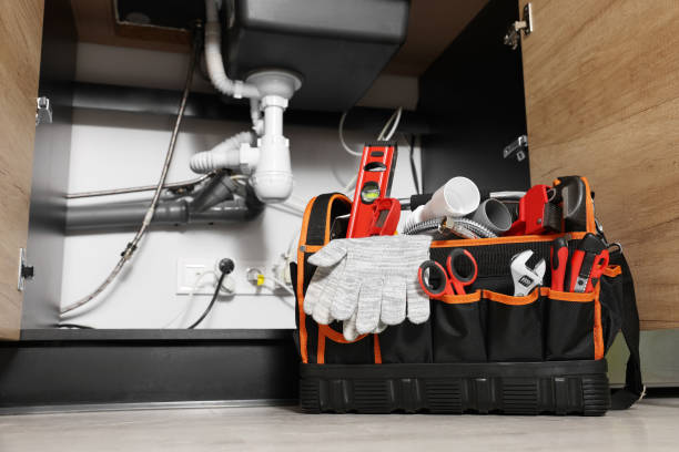 Best Shower Repair Services  in Old Miakka, FL